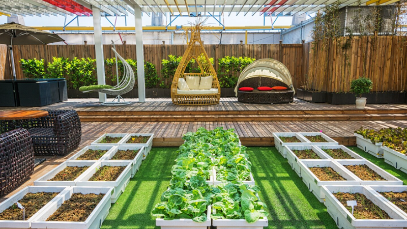 Garden